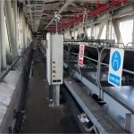 煤质在线视觉分析仪